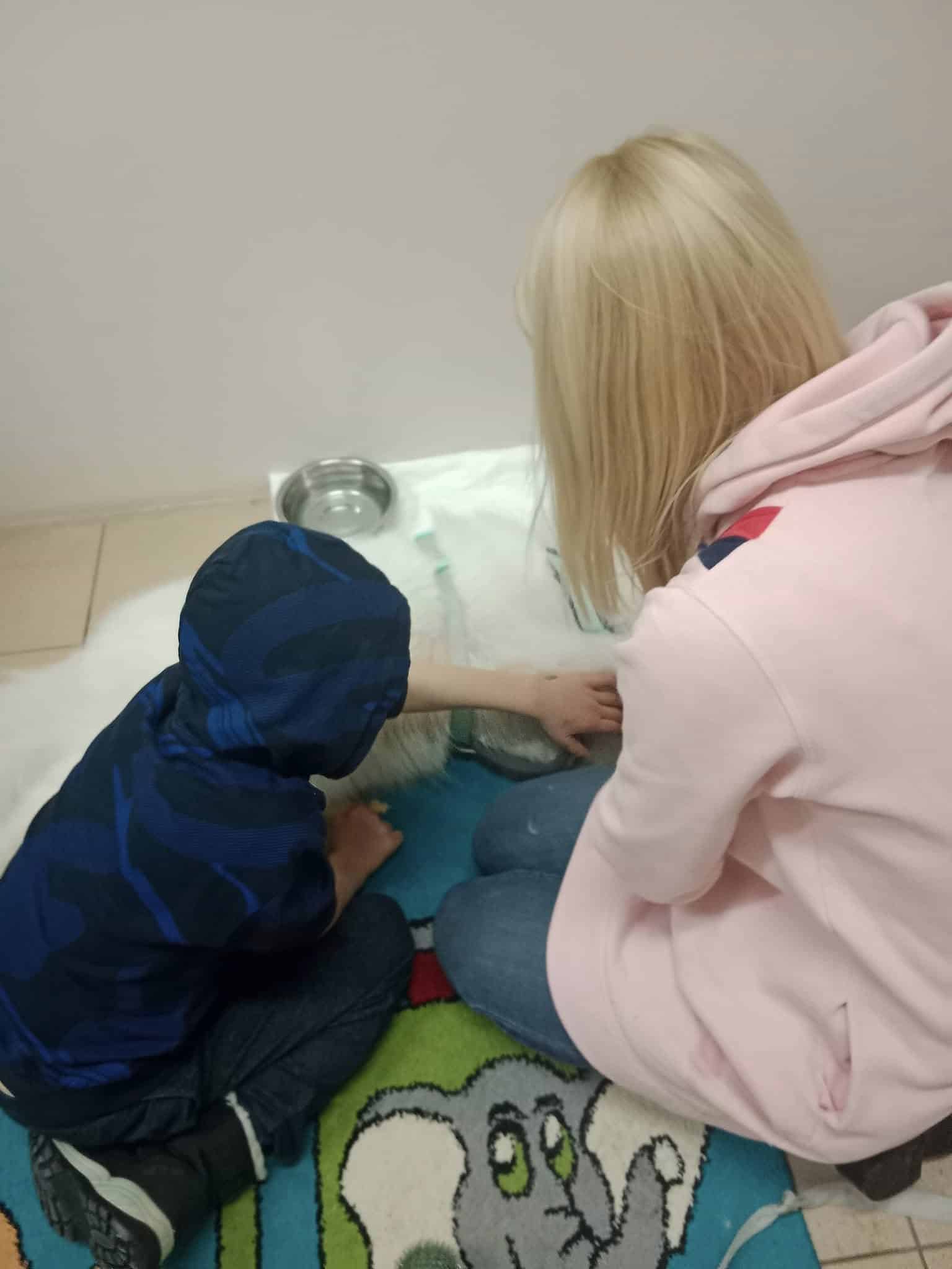 Kobieta i dziecko siedzą na kolorowym dywanie obok psa leżącego na białym kocu, delikatnie go głaszcząc. Obok stoi metalowa miska z wodą.