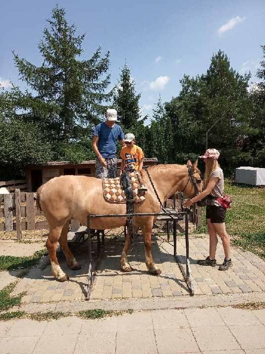 Dziecko siedzi na koniu na ogrodzonym terenie, dorosły pomaga dziecku, a inny dorosły trzyma uzdę konia na zewnątrz w słoneczny dzień.