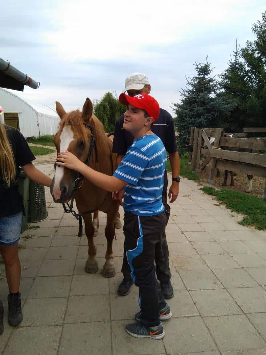 Chłopiec w niebieskiej koszuli w paski stoi na brukowanej ścieżce, głaszcząc brązowego konia. Dwoje dorosłych stoi w pobliżu, częściowo poza kadrem. W tle widać drzewa i ogrodzenie.