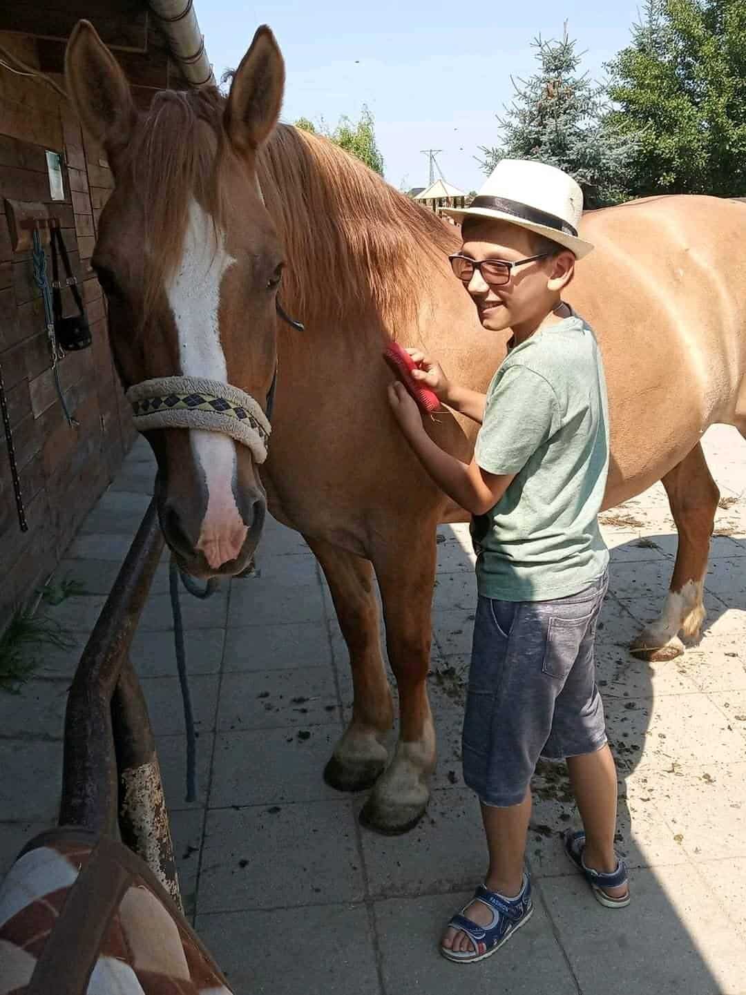 Chłopiec w okularach i kapeluszu szczotkuje brązowego konia na zewnątrz w słoneczny dzień.