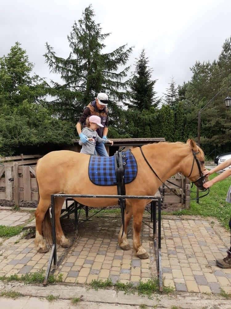 Dorosły pomaga dziecku w różowym kapeluszu wsiąść na opalonego konia z niebieskim siodłem w kratę, na zewnątrz w pobliżu drzew i drewnianego ogrodzenia.
