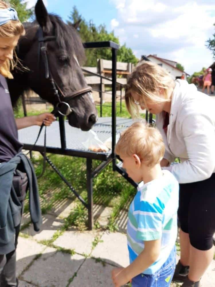 Czarny koń jest trzymany przez dorosłego, podczas gdy kobieta i młody chłopiec stoją w pobliżu w słoneczny dzień.