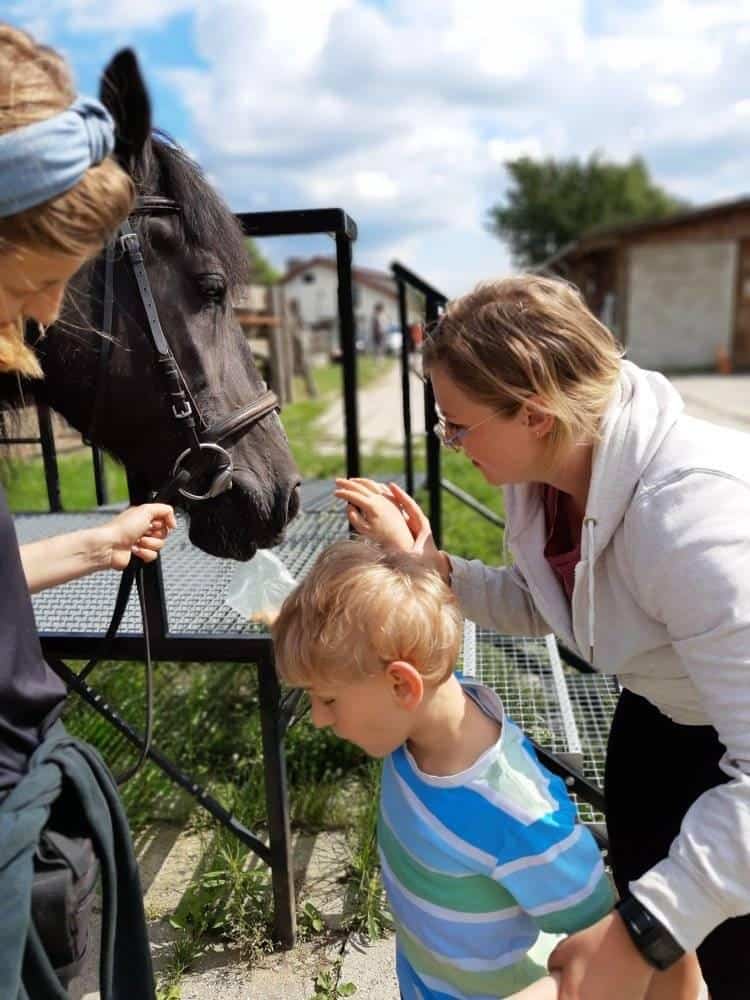 Dziecko i dwoje dorosłych stoją w pobliżu czarnego konia za metalowym ogrodzeniem, wchodząc z nim w interakcję na zewnątrz w słoneczny dzień.