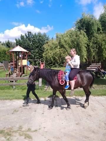 Dorosły i dziecko jadą na brązowym koniu prowadzonym przez pieszą osobę na świeżym powietrzu z wyposażeniem placu zabaw i drzewami w tle.